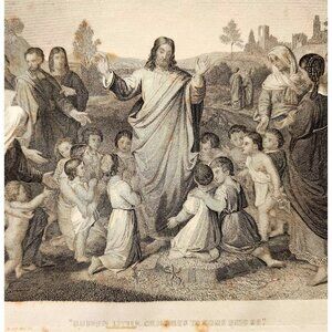 1873 Jesus Consider The Lilies Steel Engraving Victorian Bible Antique F12A